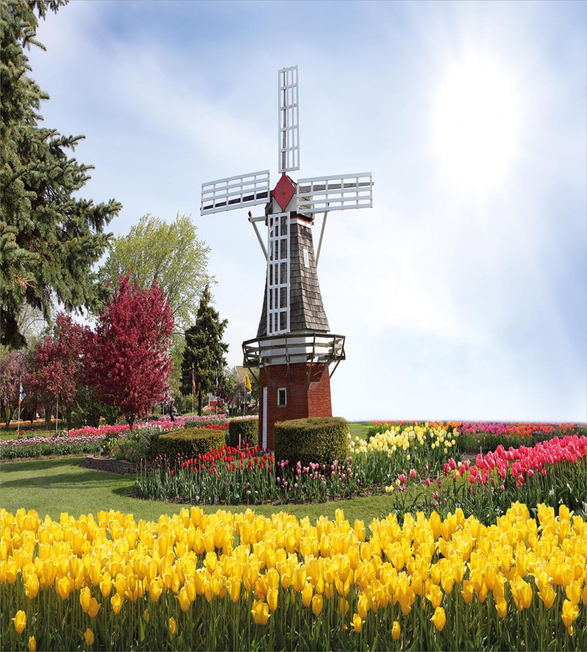 Serene Garden Tulips — Pattern