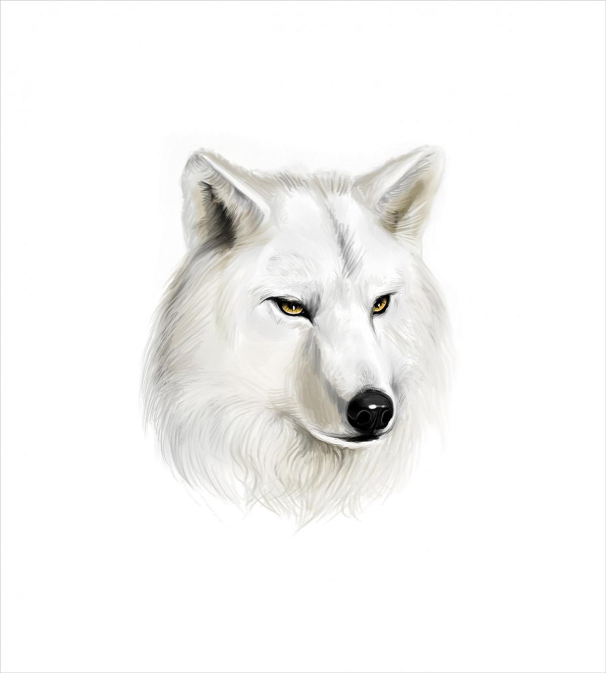 White Canine Head Mammal — Pattern
