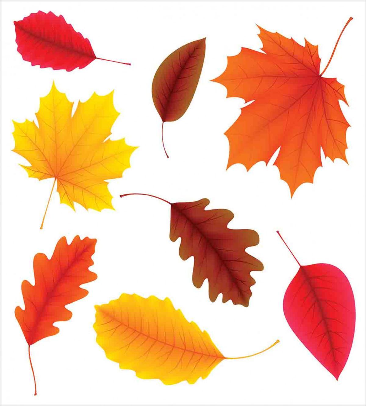 Autumn Foliage Flora — Pattern