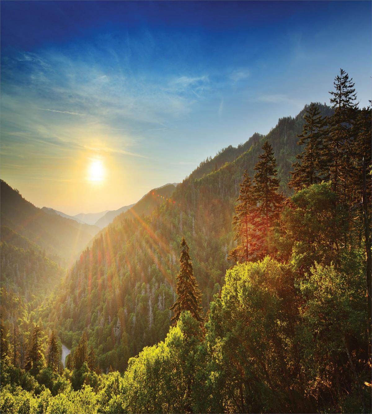 Sunset at Newfound Gap — Pattern