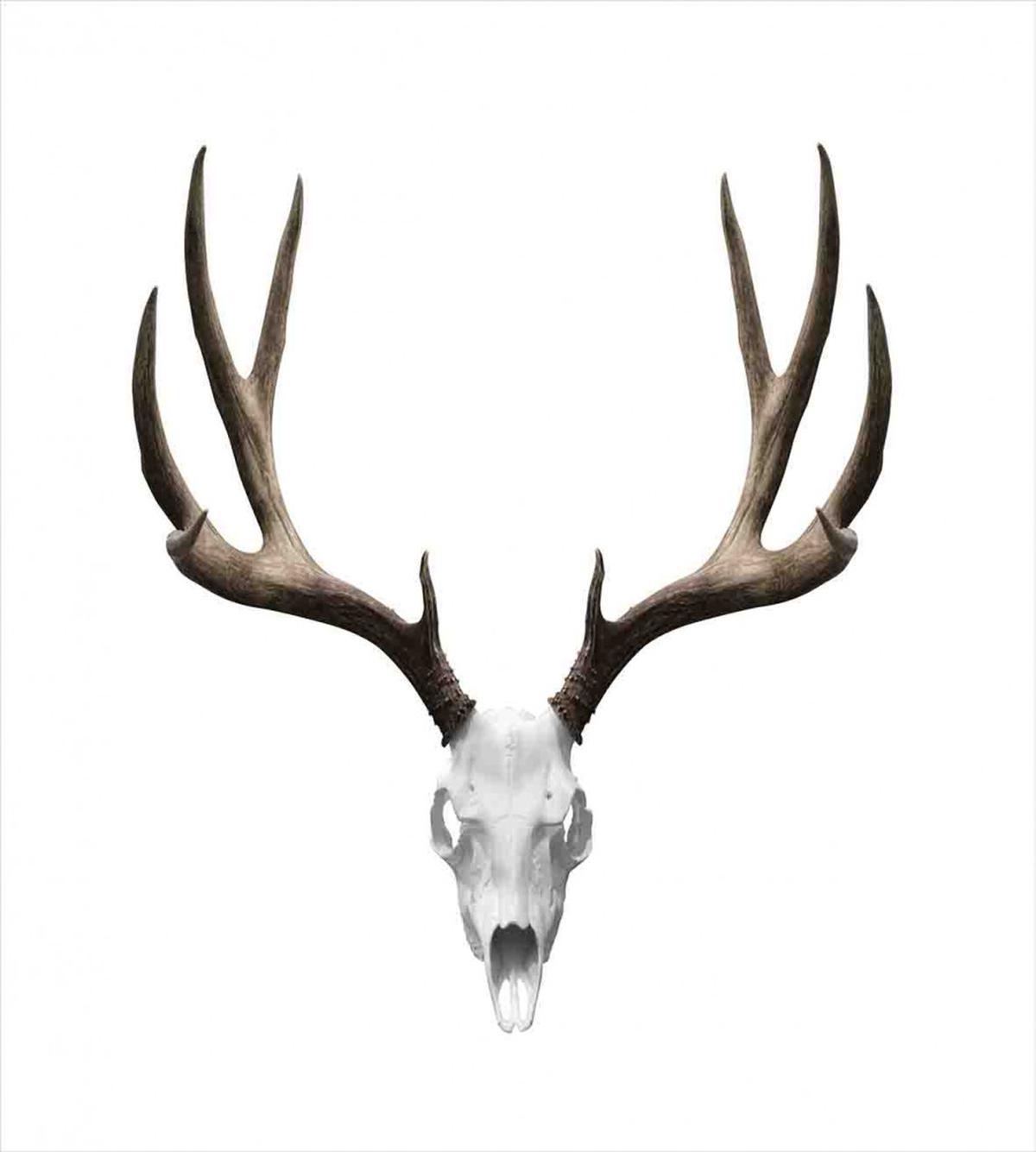 Deer Skull Skeleton — Pattern