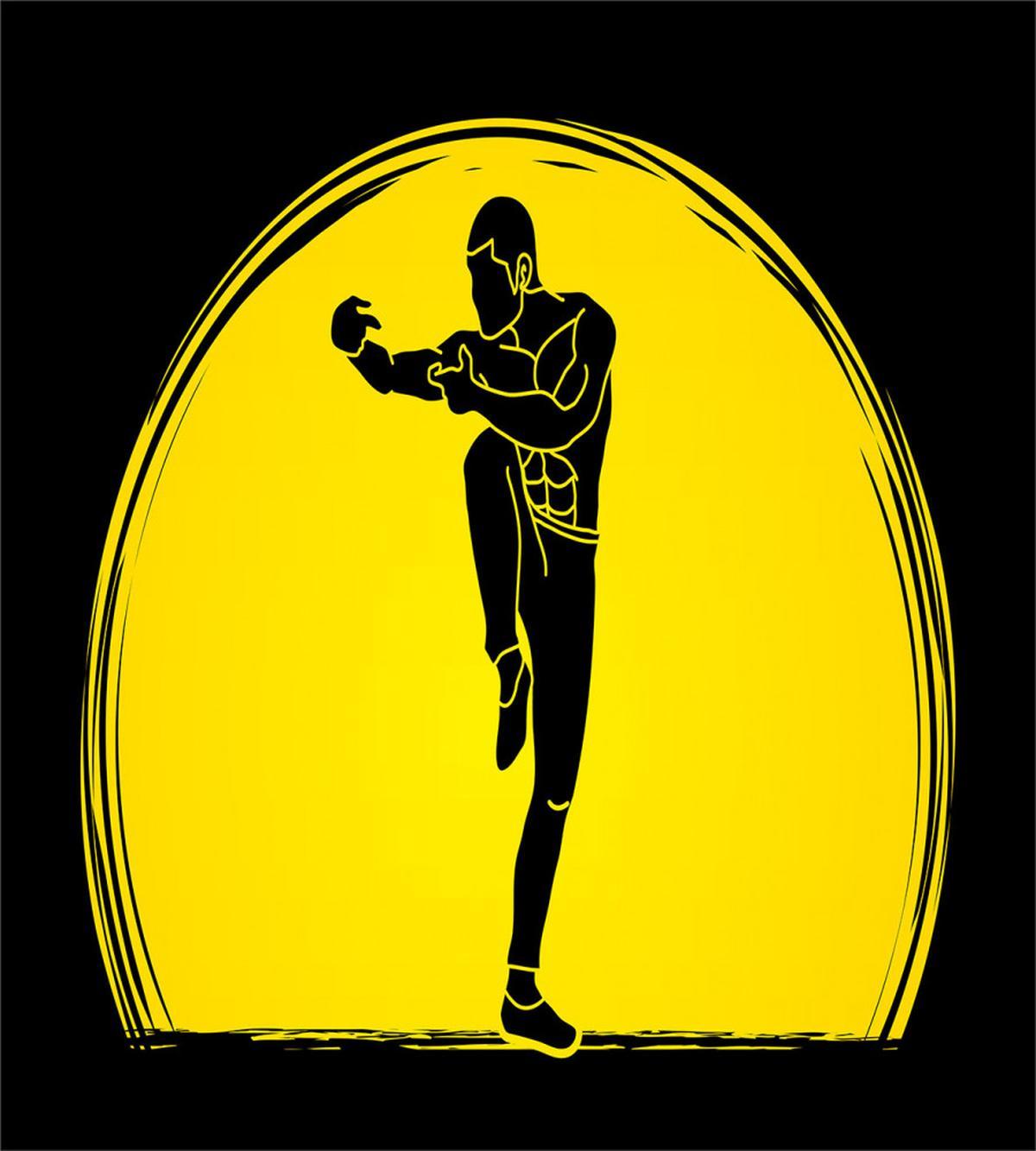 Karate Pose Man on Moon — Pattern