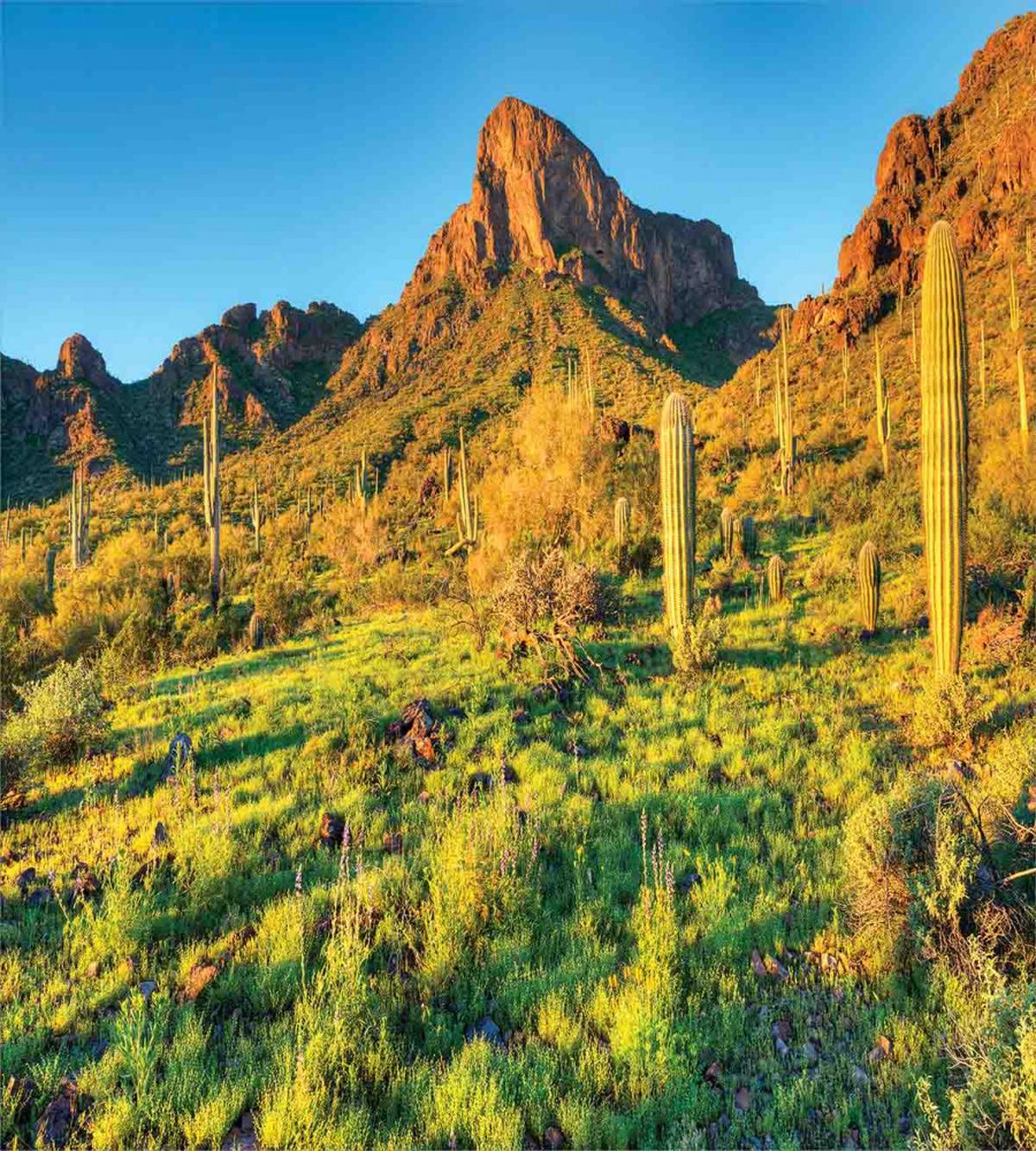 Picacho Peak and Sun — Pattern