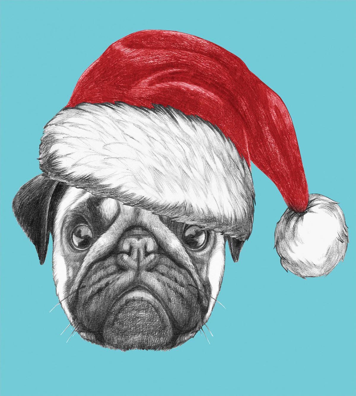 Dog with Santa Hat X-Mas — Pattern