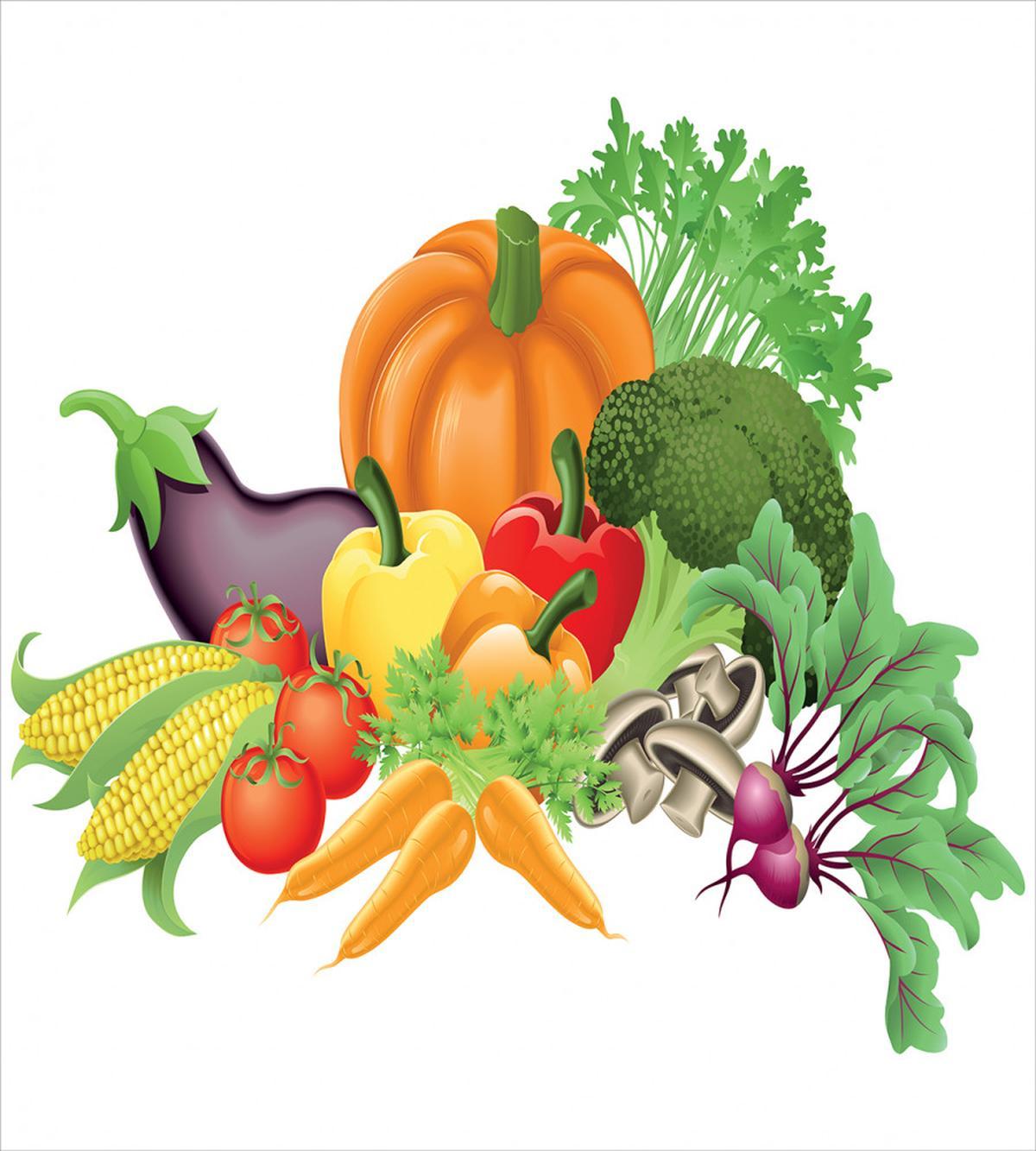 Cartoon Harvest Yield — Pattern