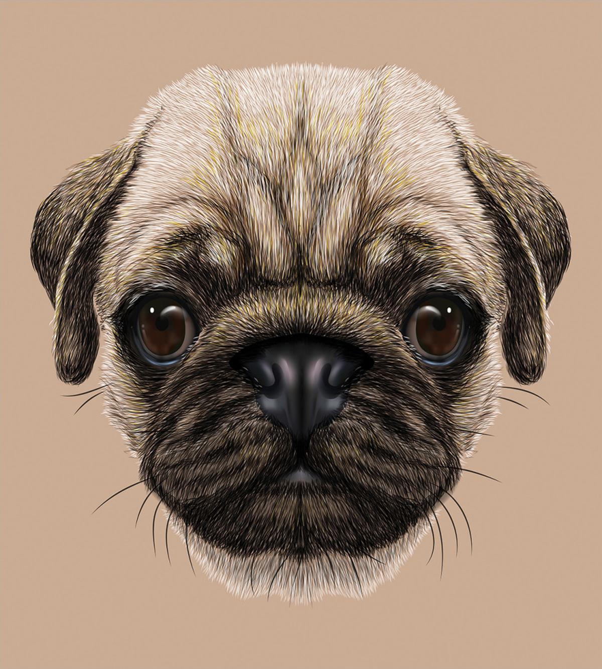 Pet Animal Art Design Dog — Pattern