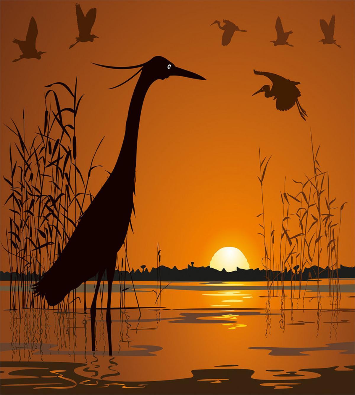 Bird Silhouettes Swamp Sunset — Pattern
