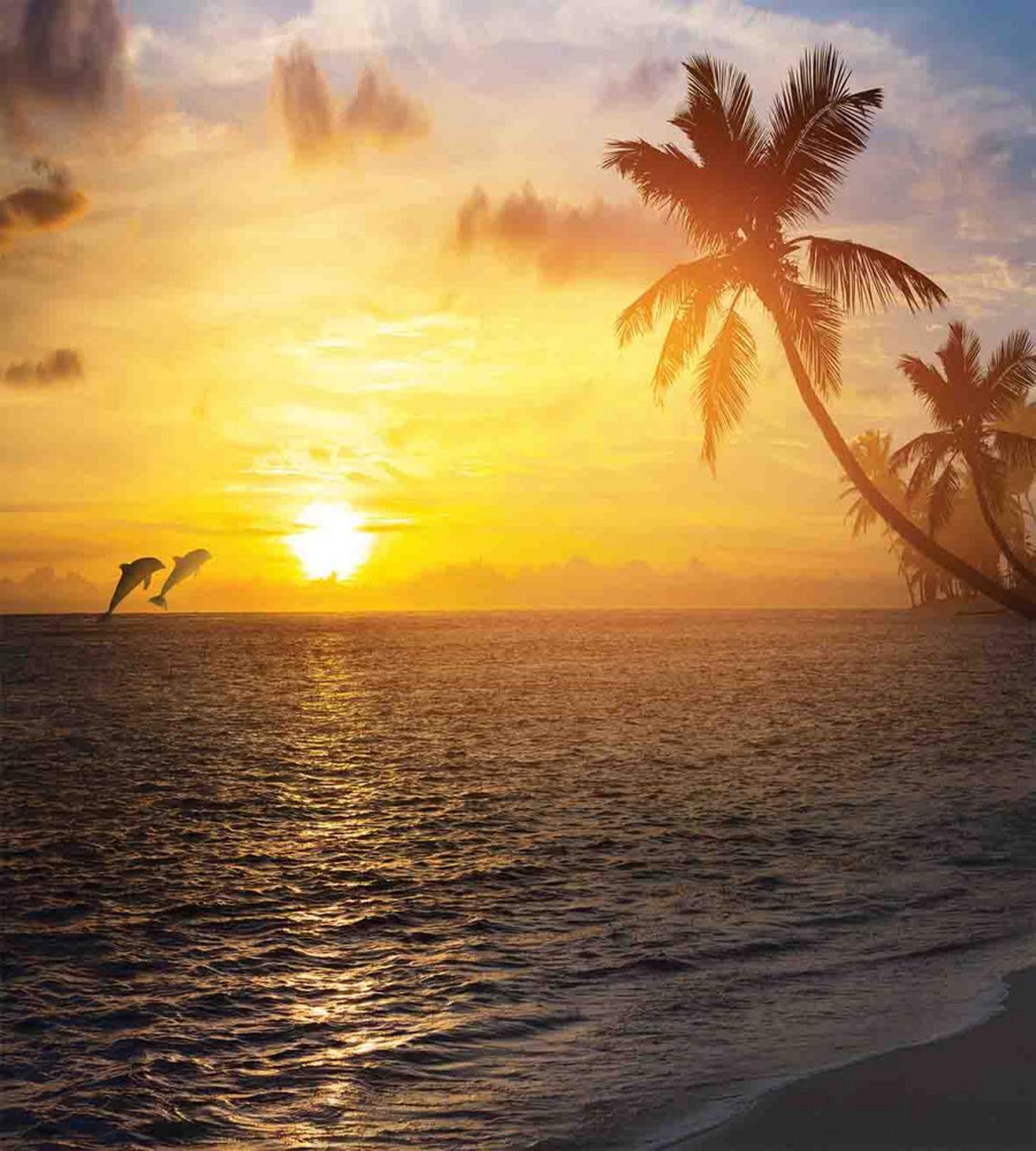 Palm Tree Island Sunset — Pattern