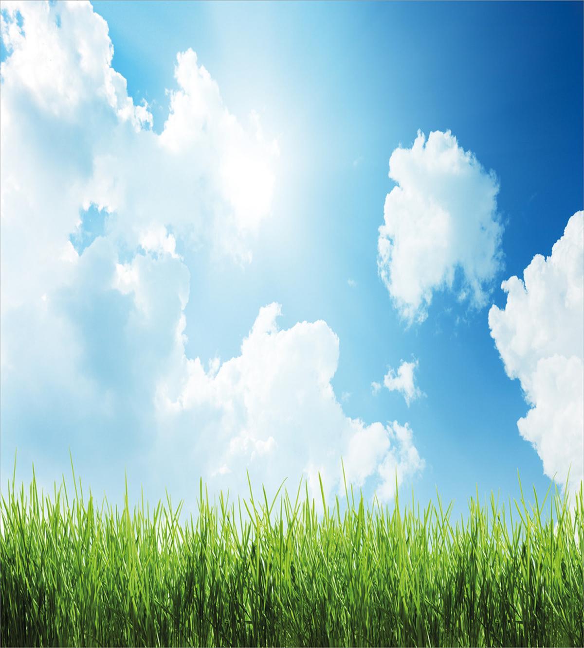 Sunny Day Grass Clouds — Pattern
