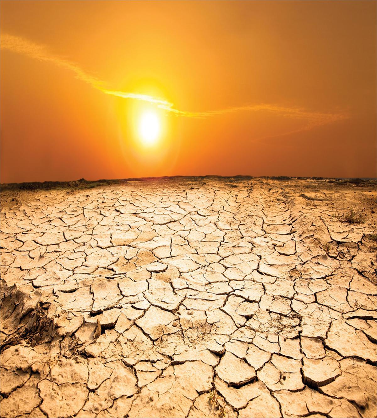 Drought Arid Country — Pattern
