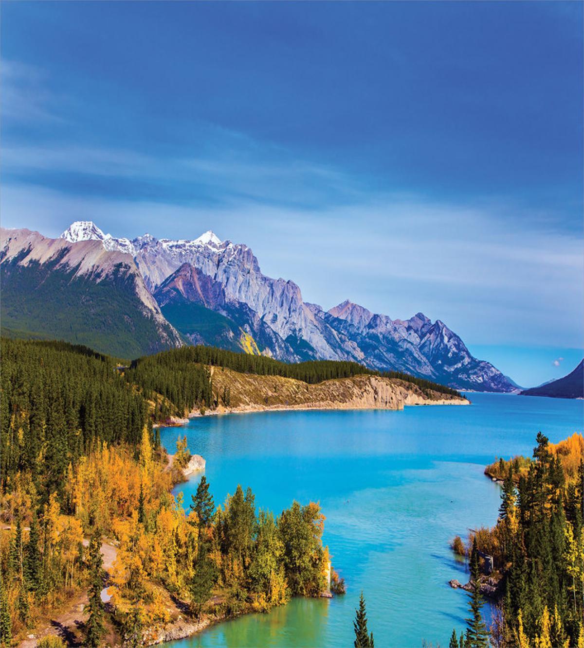 Abraham Lake Shore Photo — Pattern