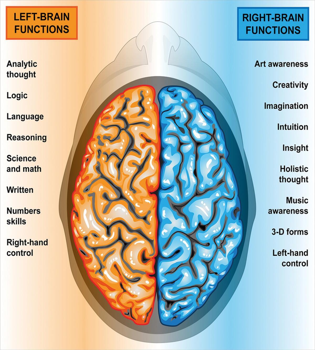 Left Right Brain — Pattern