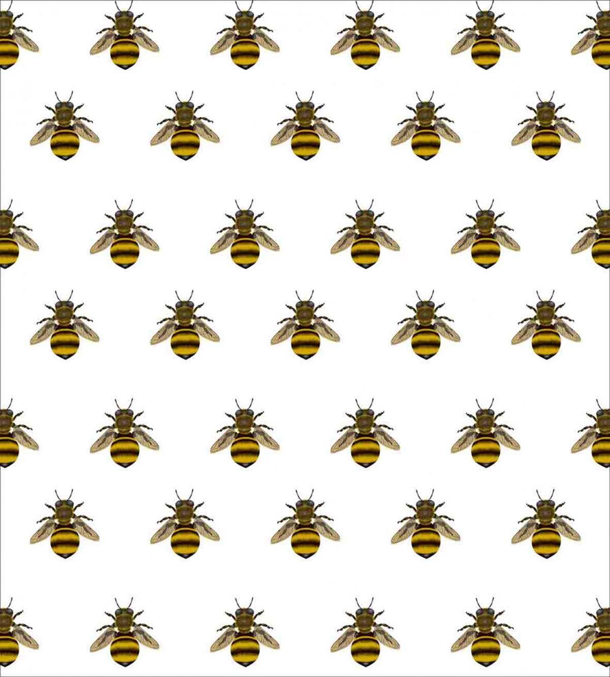 Honey Maker Insect Pattern — Pattern