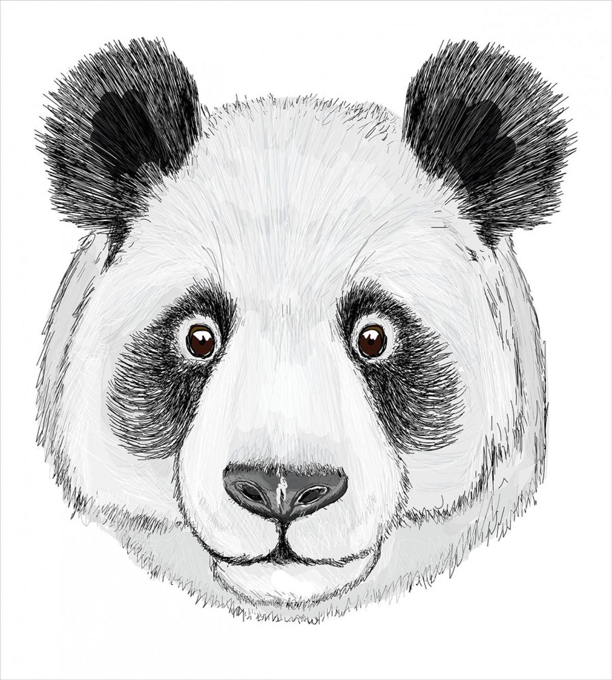 Hand Drawn Panda — Pattern