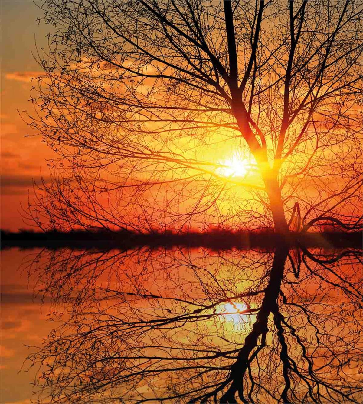 Sunset View with Trees — Pattern