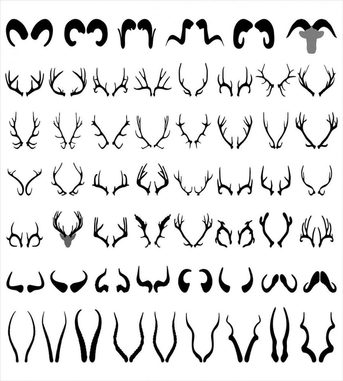 Horns of Antelope Buffalo — Pattern