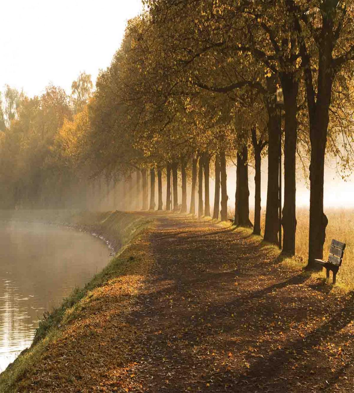 Walkway at Canal Misty — Pattern