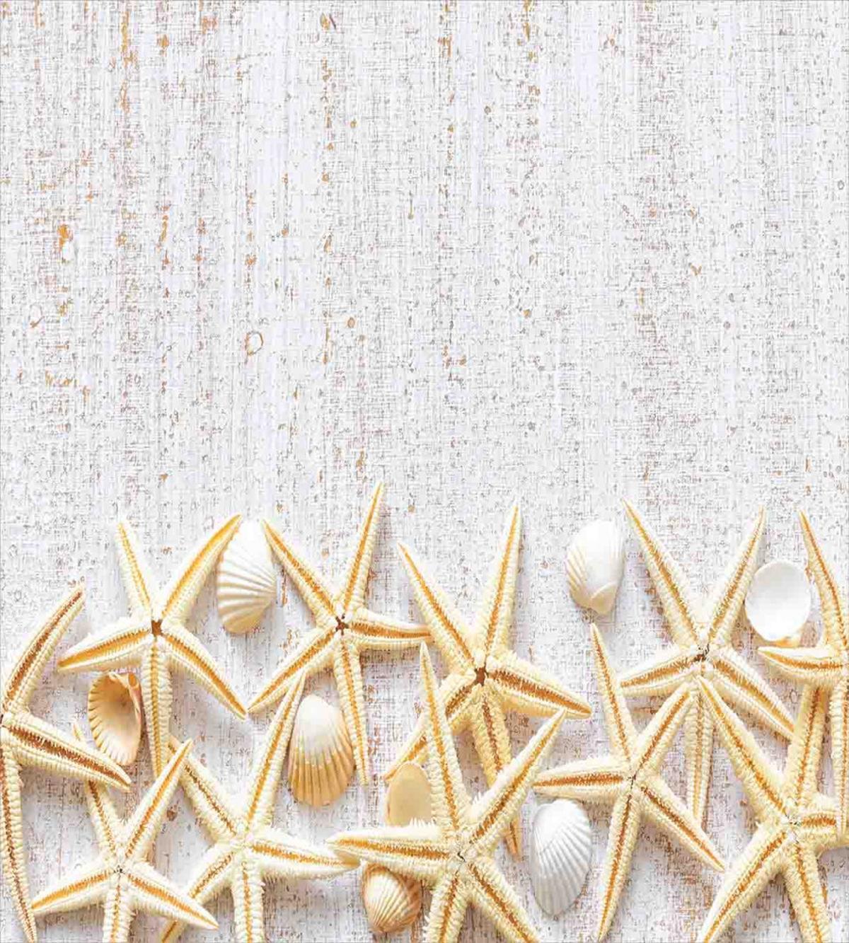 Sea Shells on Timber — Pattern