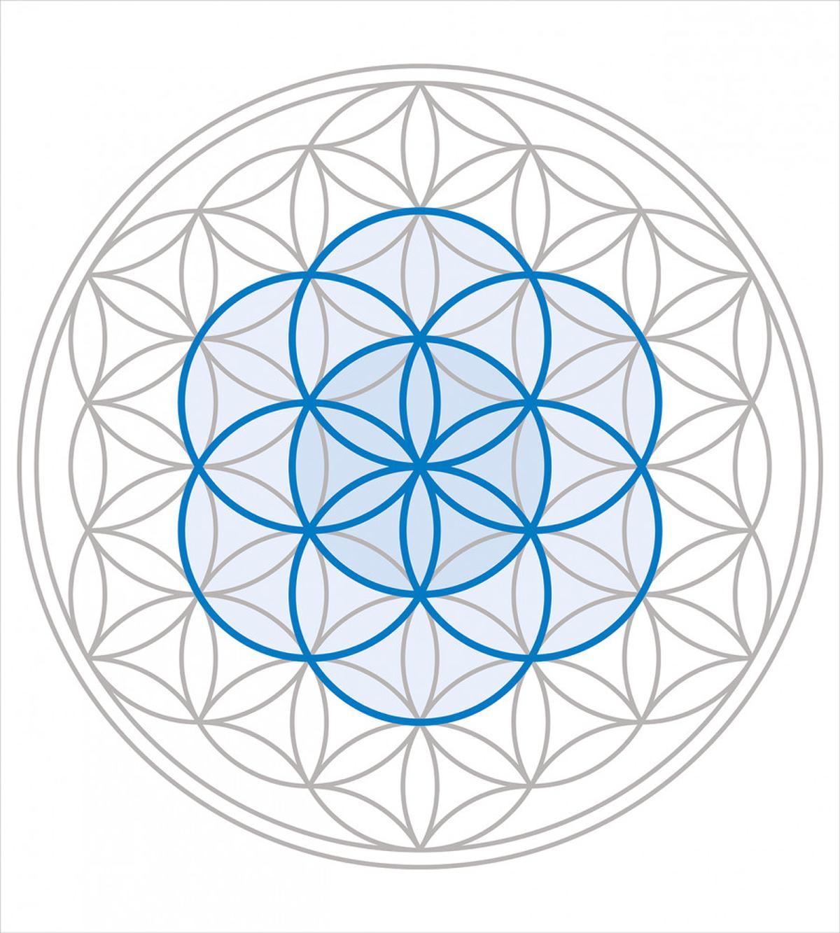 Oval Knot — Pattern