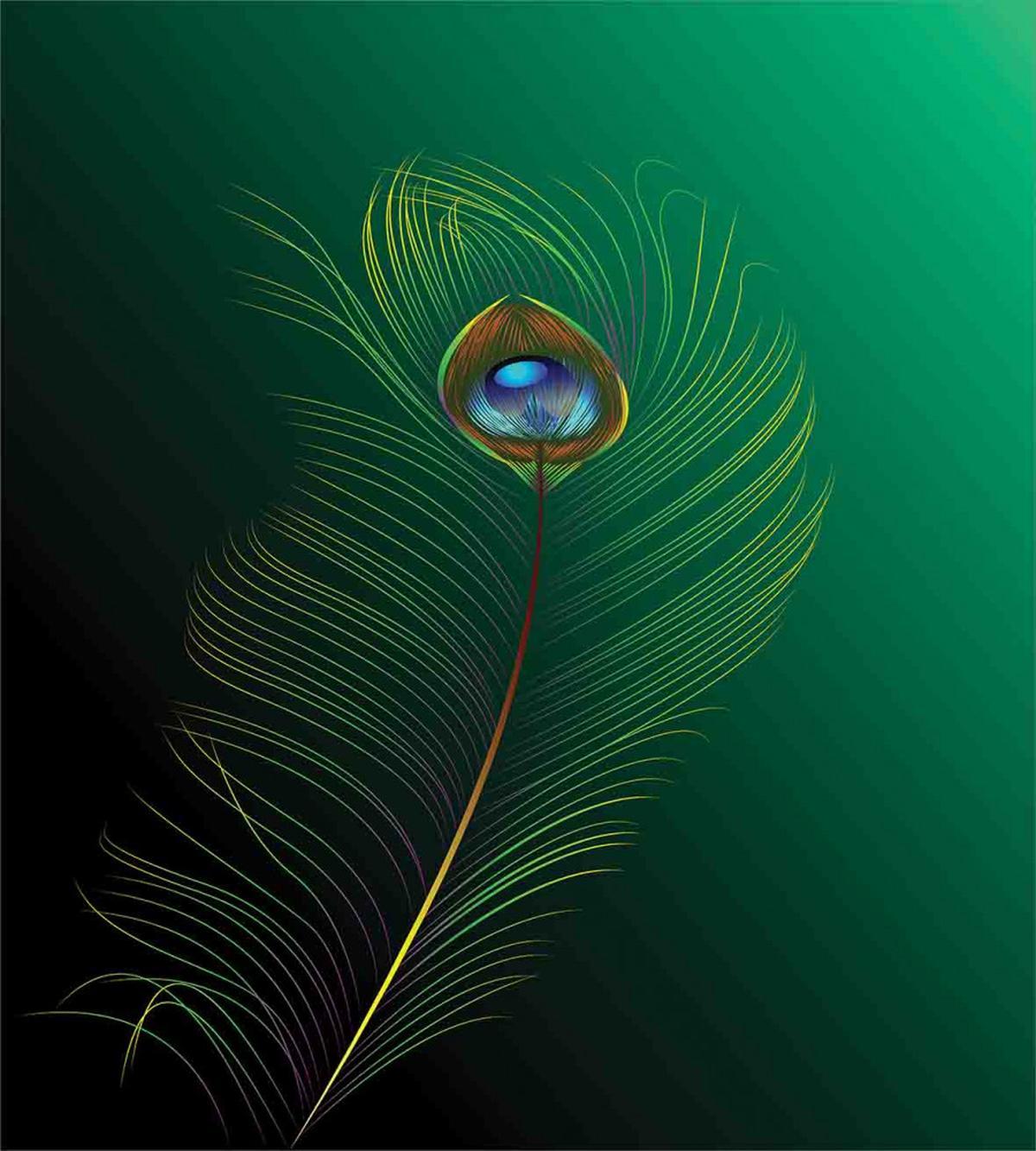 Peacock Bird Plumes — Pattern