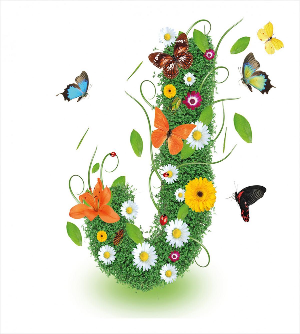 Butterfly Flourish — Pattern
