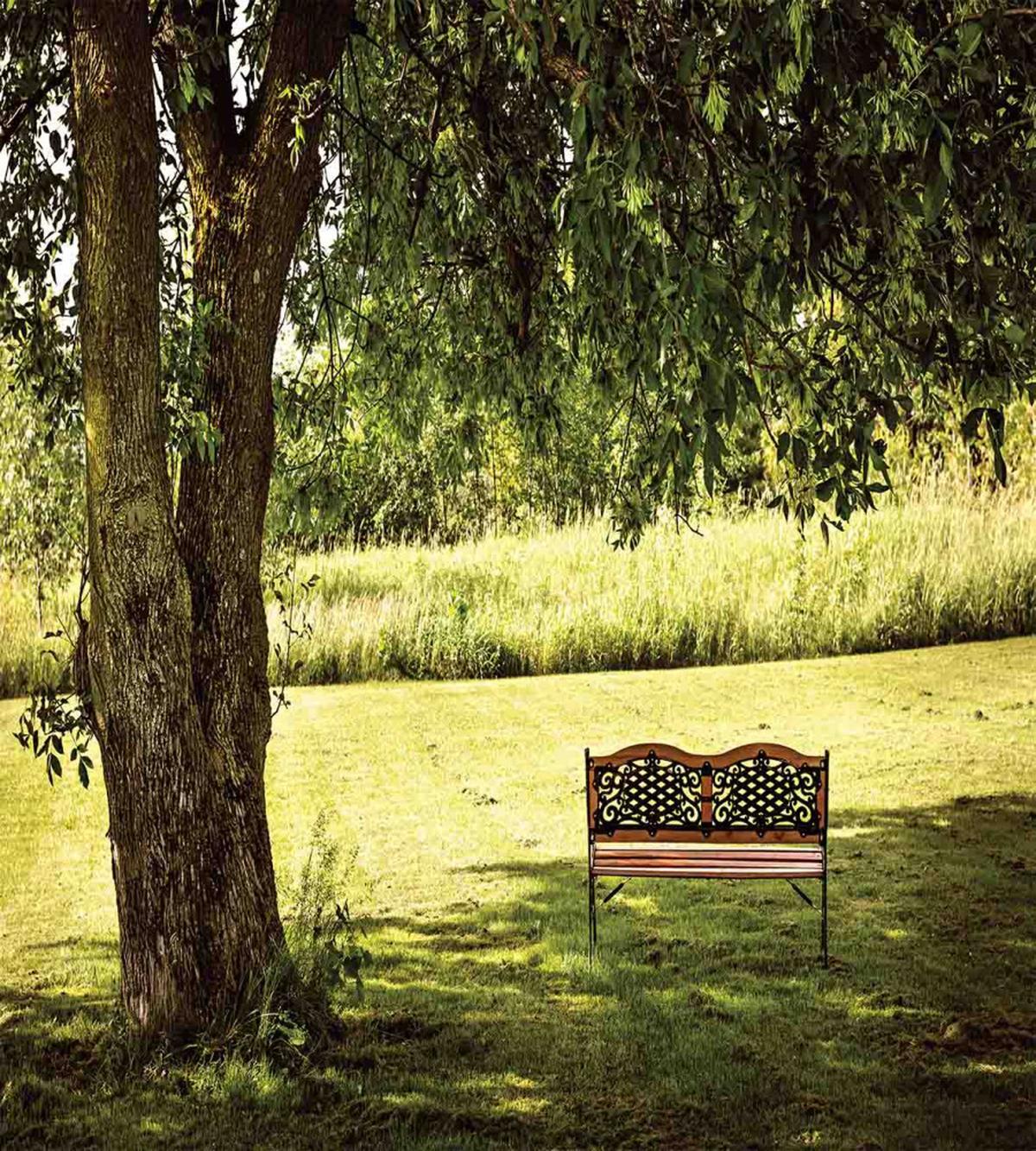 Wooden Bench at Park — Pattern