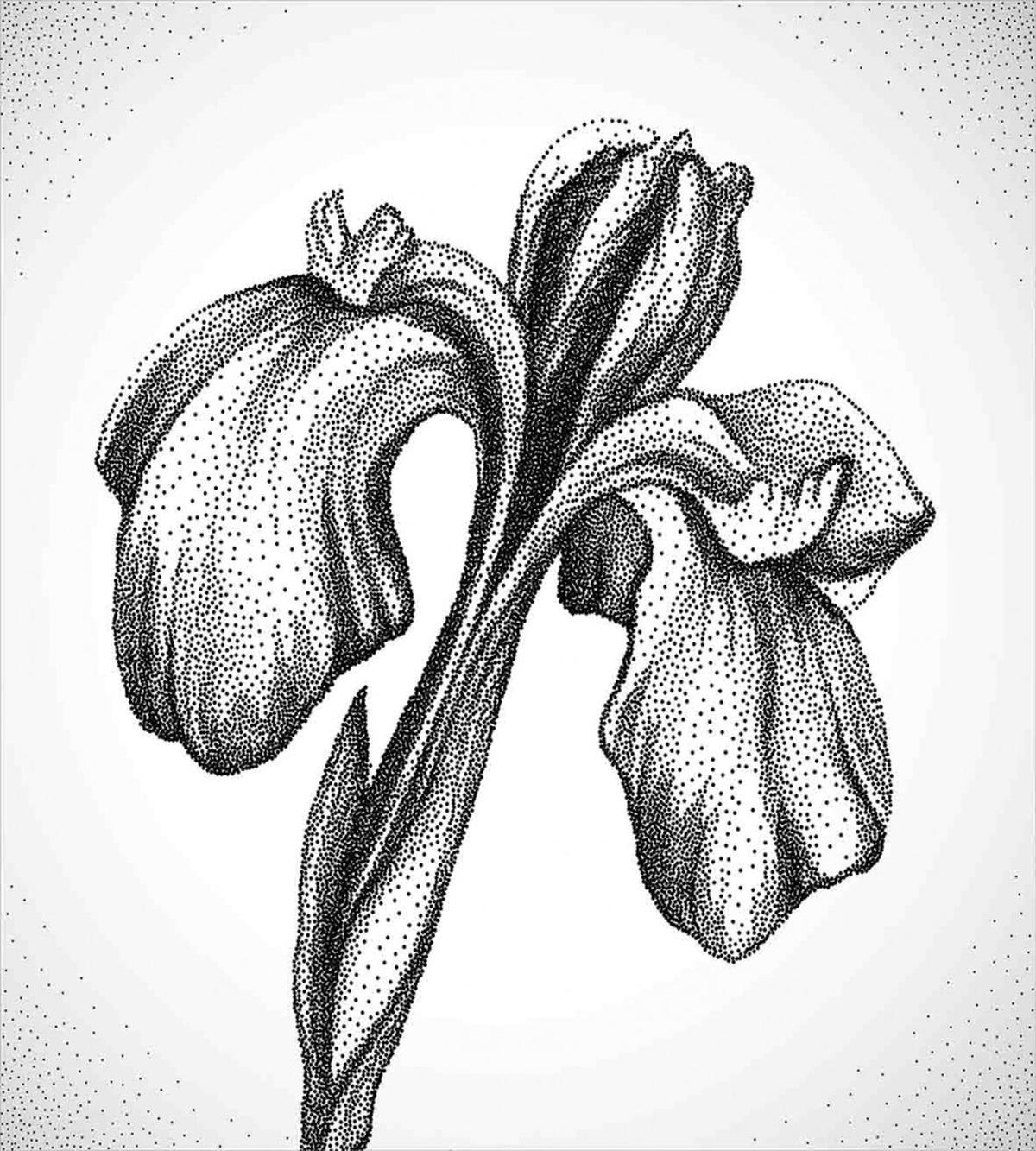 Dotwork Style Lily Bloom — Pattern