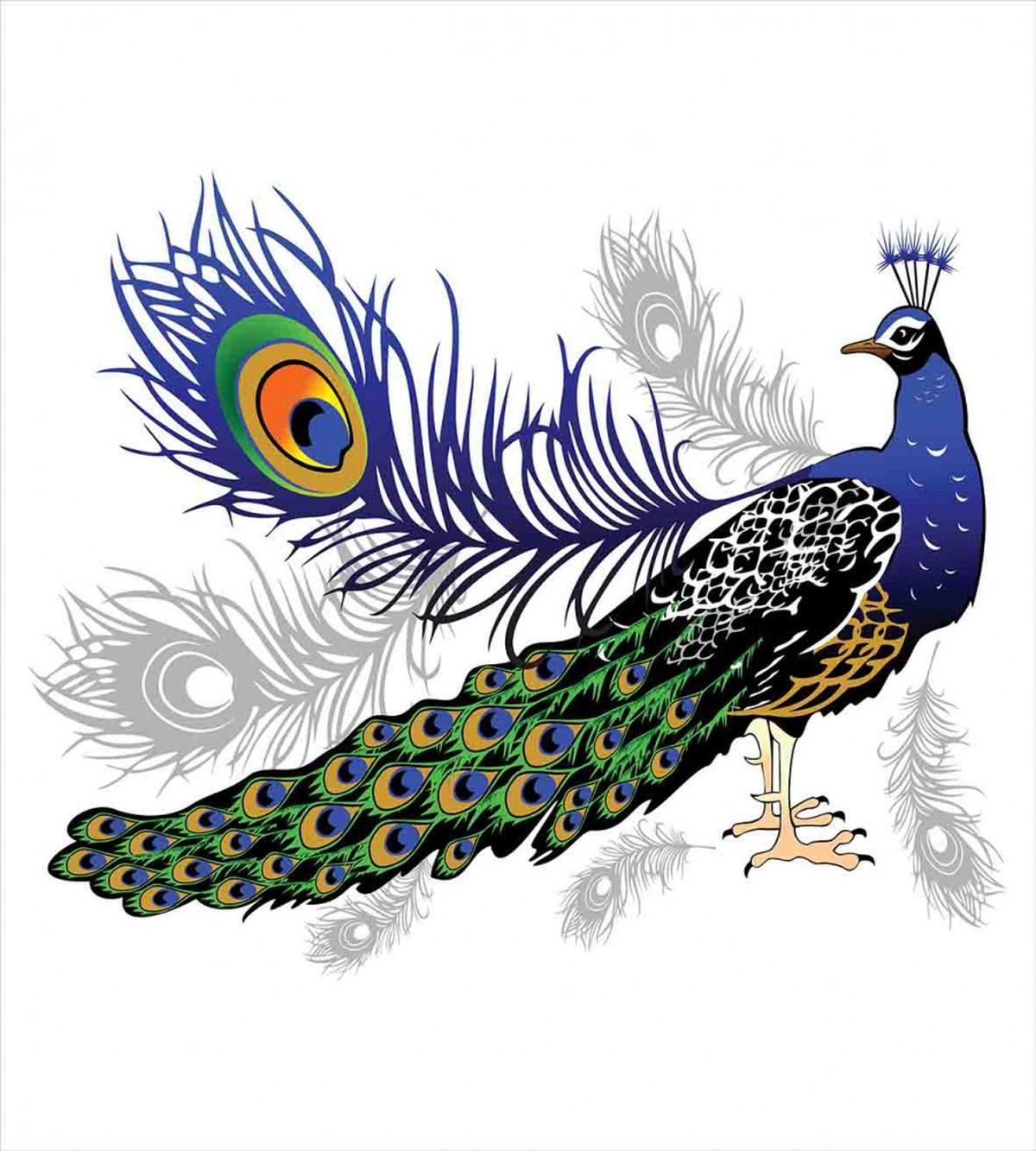 Wild Peacock Feather — Pattern
