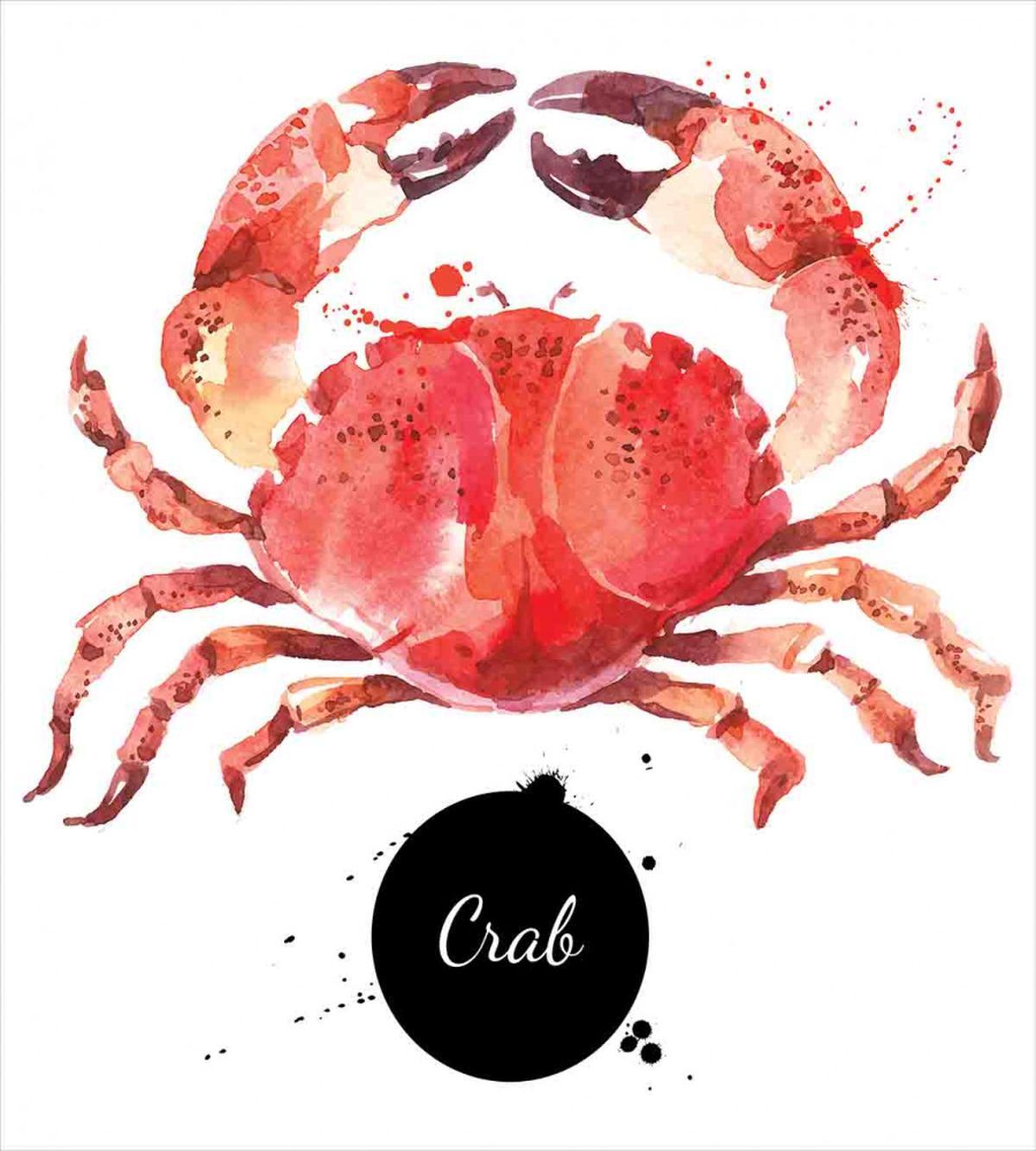 Ink Splatter King Crab — Pattern