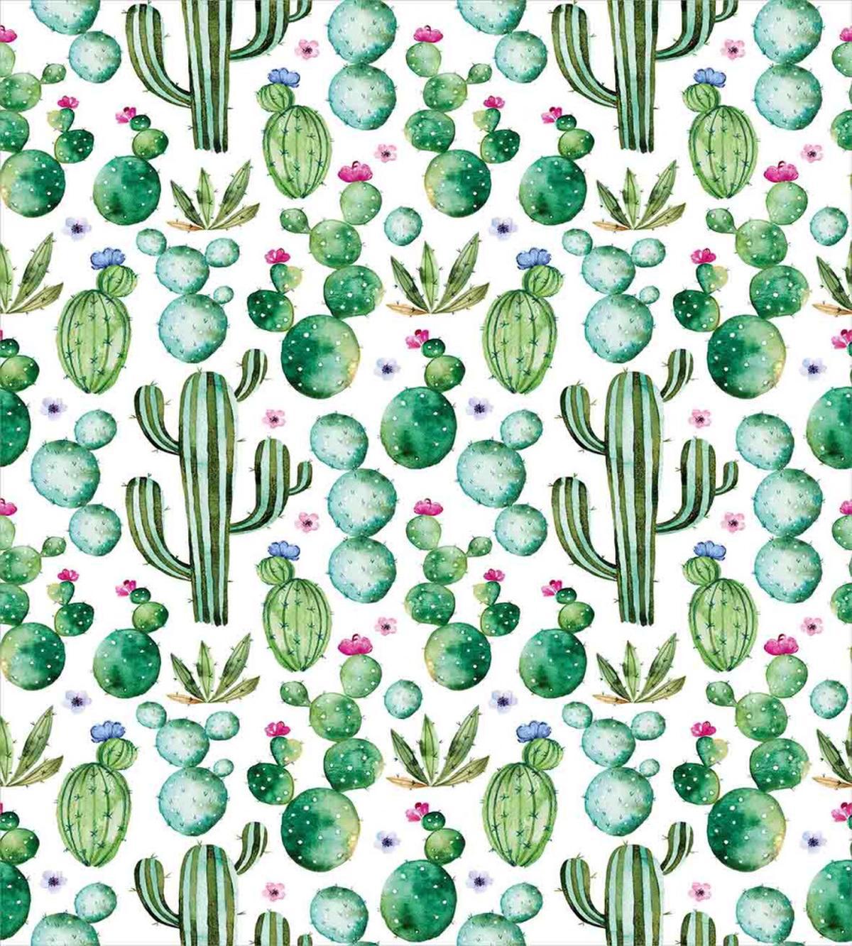 Mexican Cactus Plants — Pattern