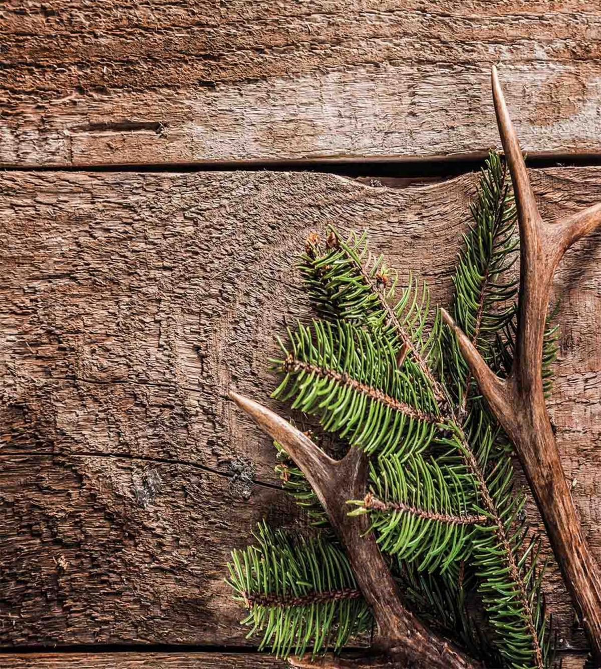 Evergreen Branch Deer — Pattern