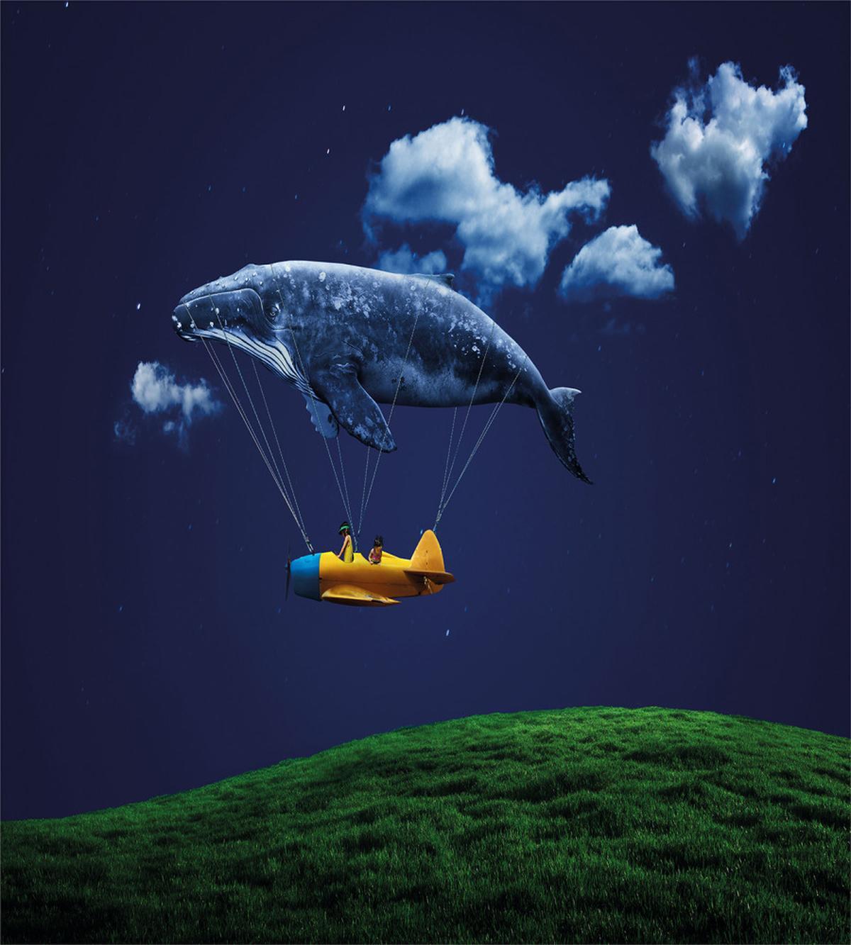 Nostalgic Airship Mystic — Pattern