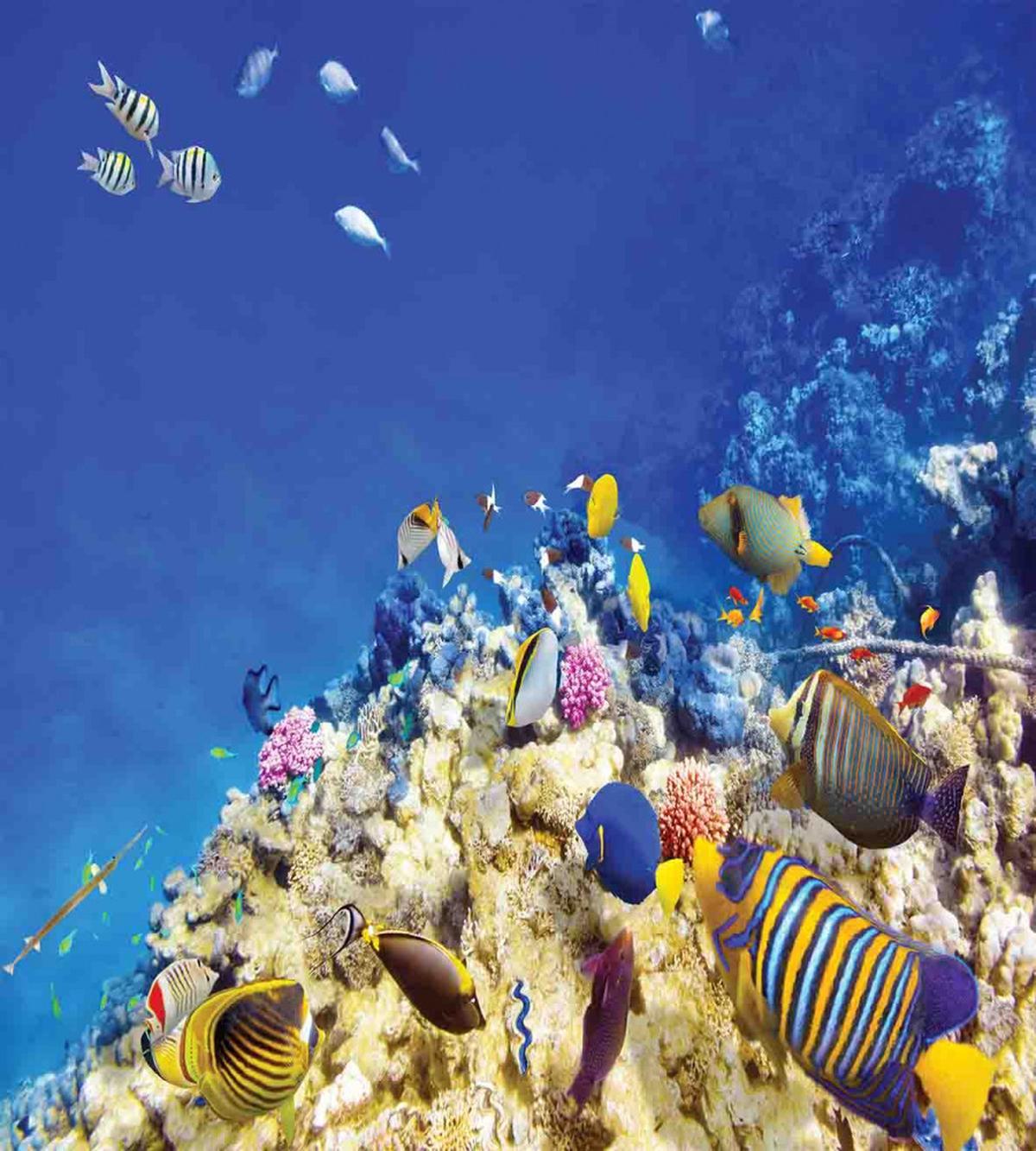 Caribbean Seascape — Pattern