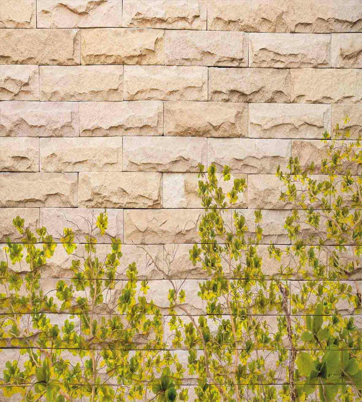 Brick Wall with Leaf — Pattern
