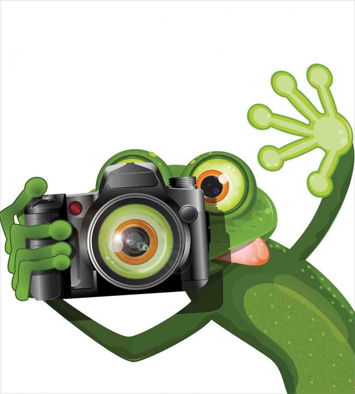 Funny Animal with Camera — Pattern