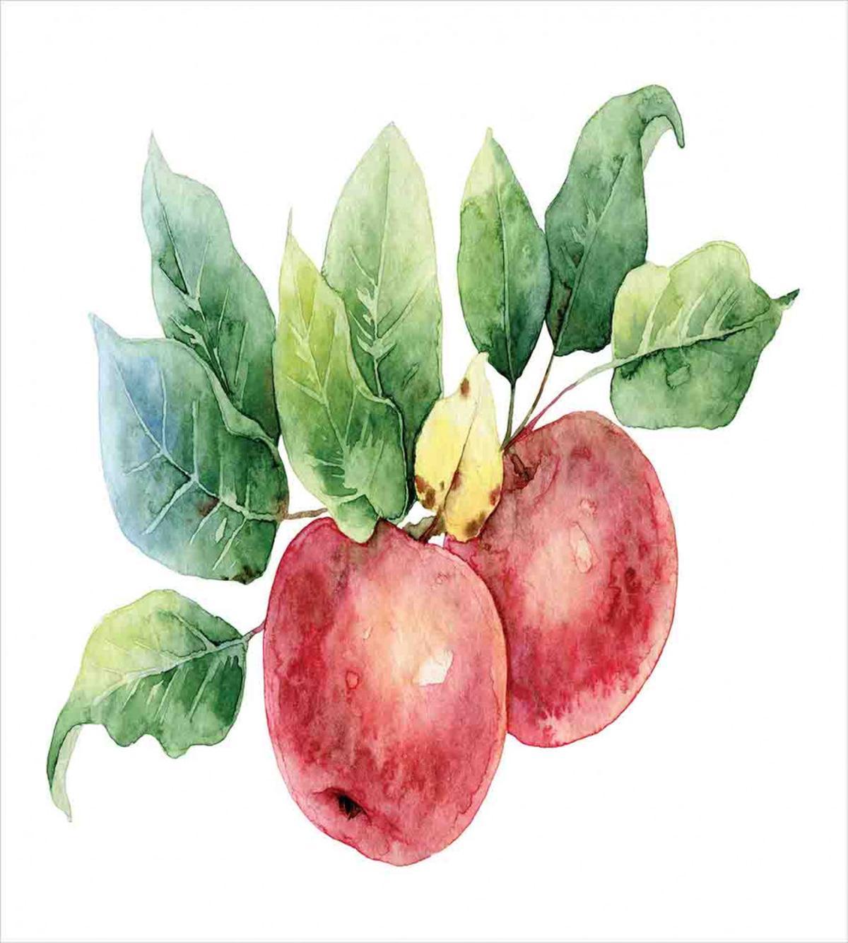 Green Leaves and Fruits — Pattern