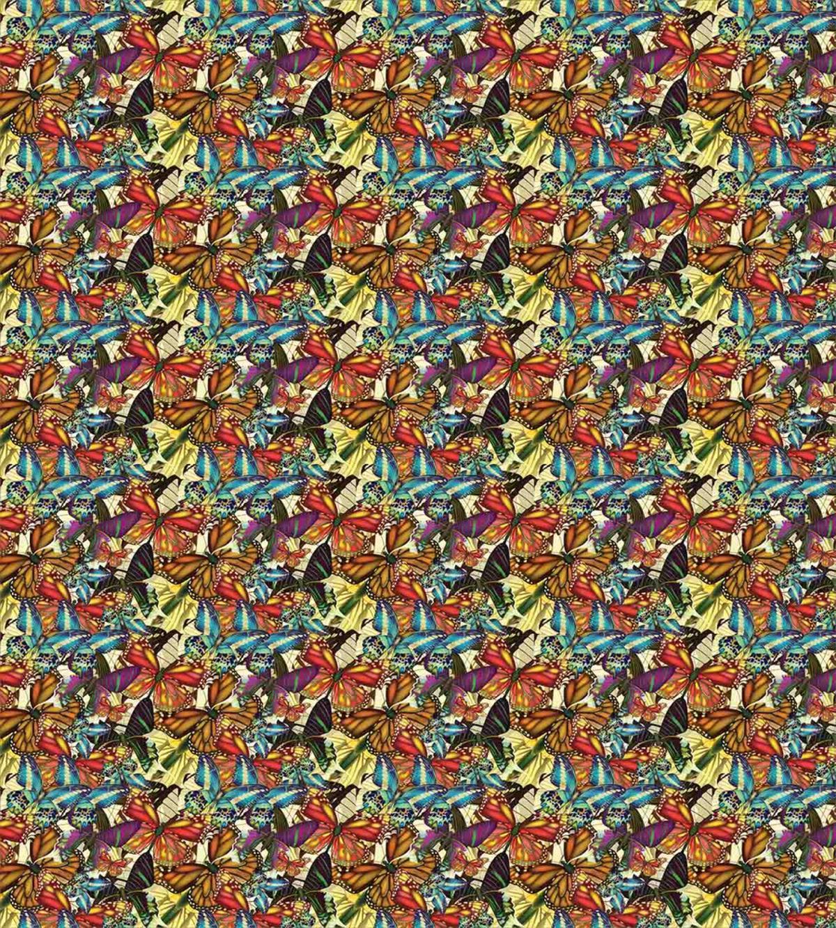 Exotic Summer Nature — Pattern