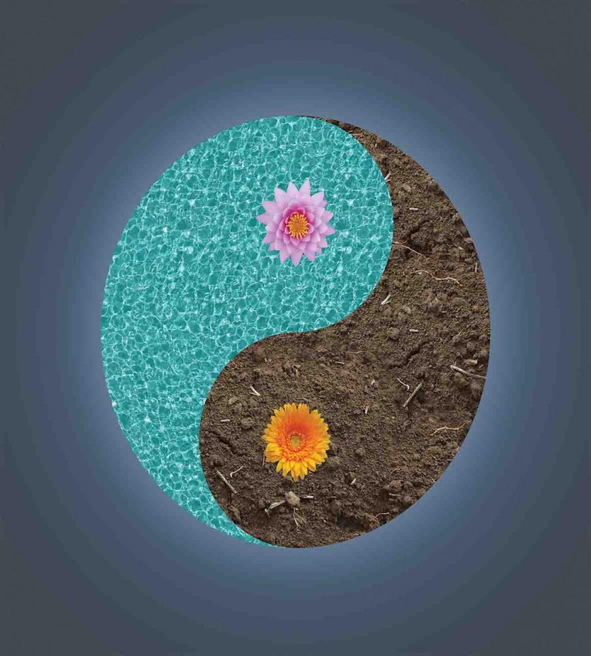 Yin Yang Flower Teal Brown — Pattern