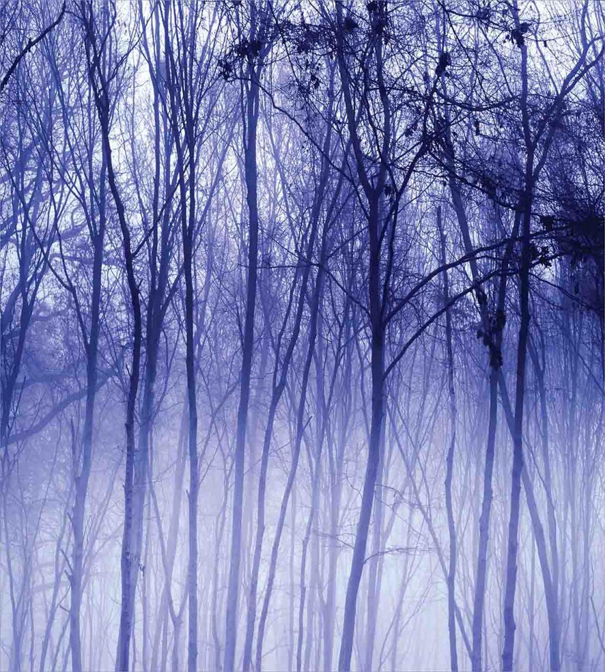 Winter Woodland Foggy — Pattern