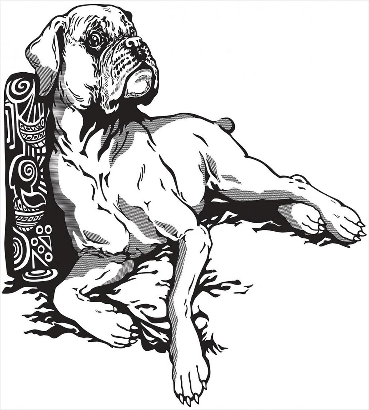 Animal Tribal Elements — Pattern