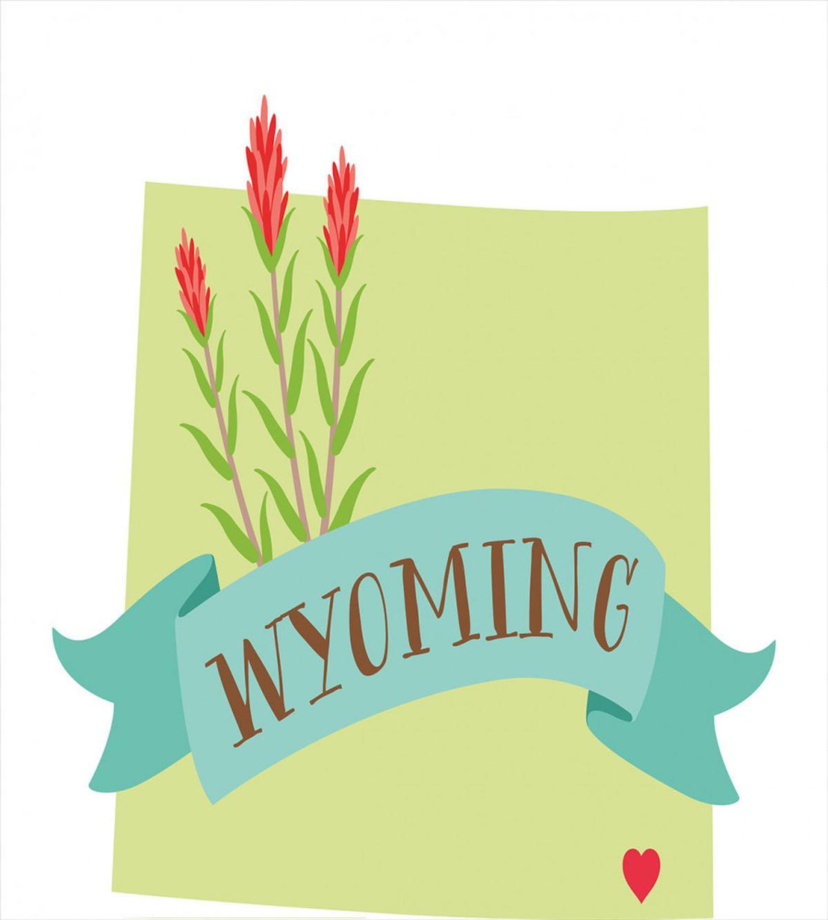 State Flower and Name — Pattern