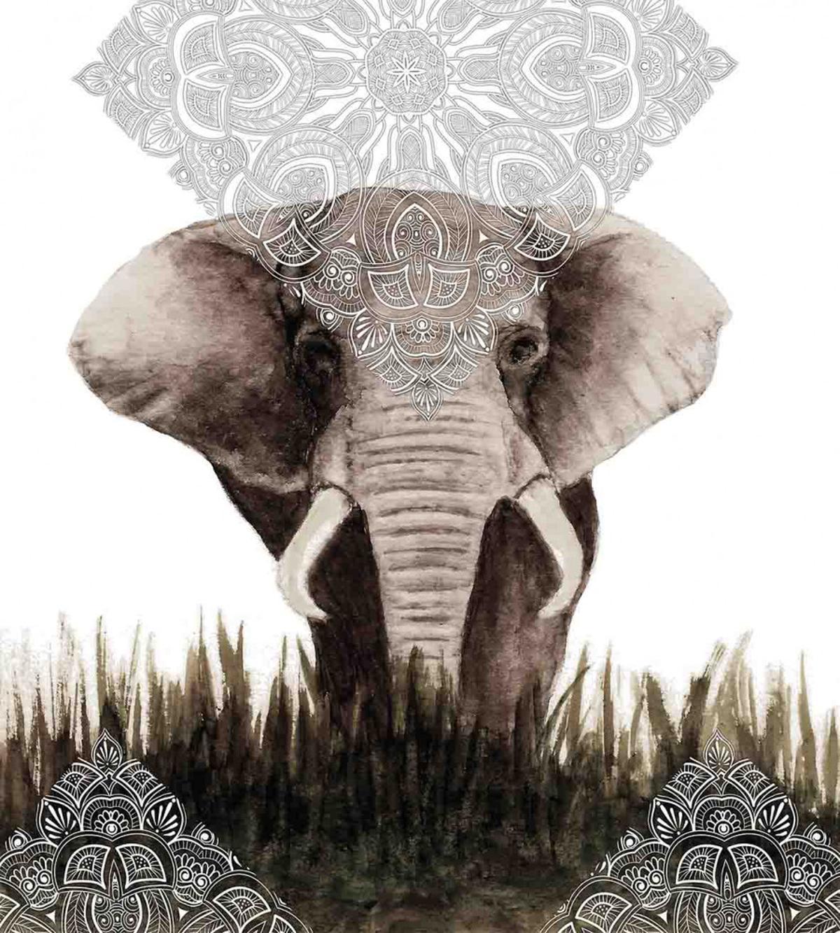 Elephant Animal — Pattern