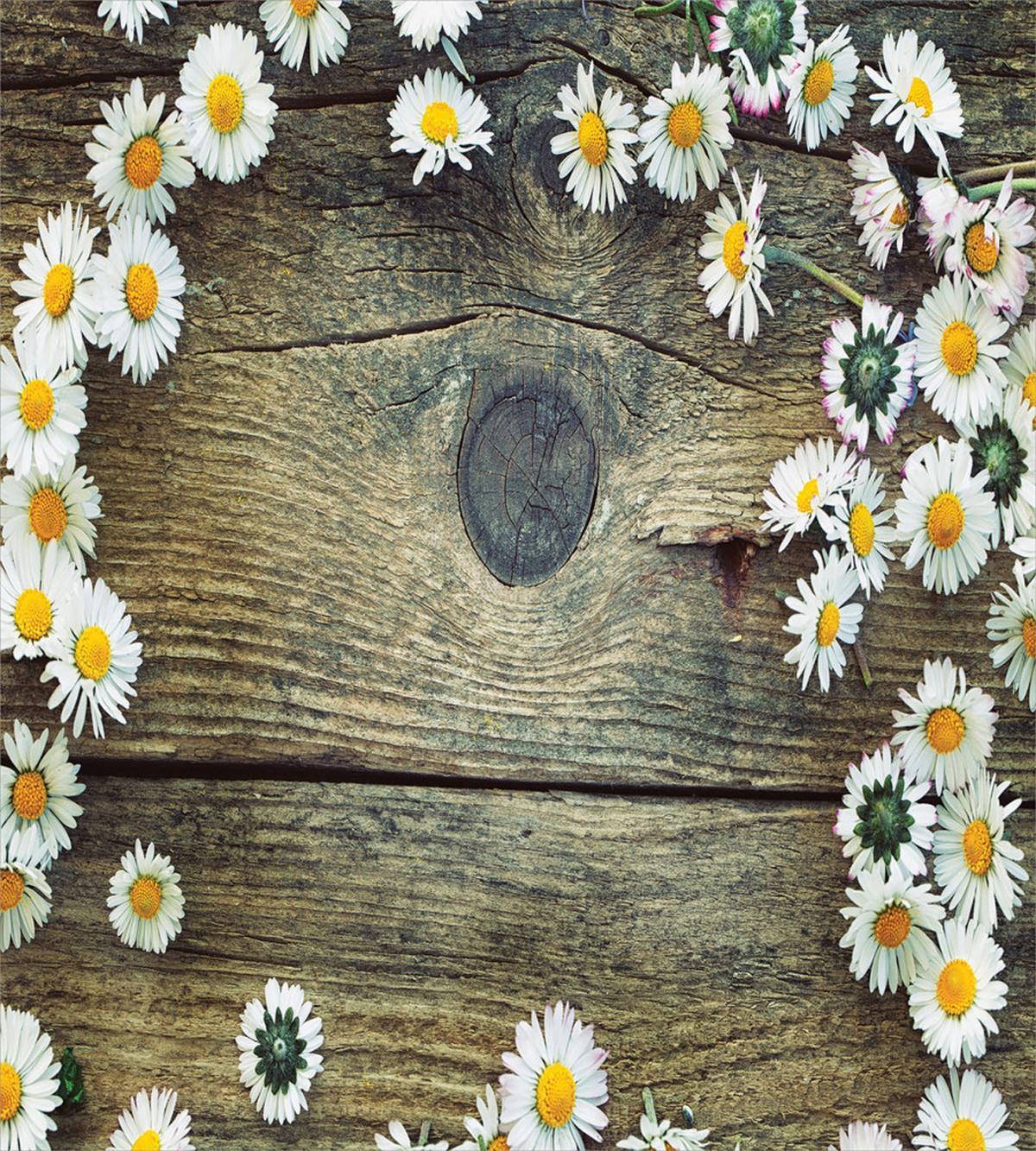Fresh Spring Daisies — Pattern