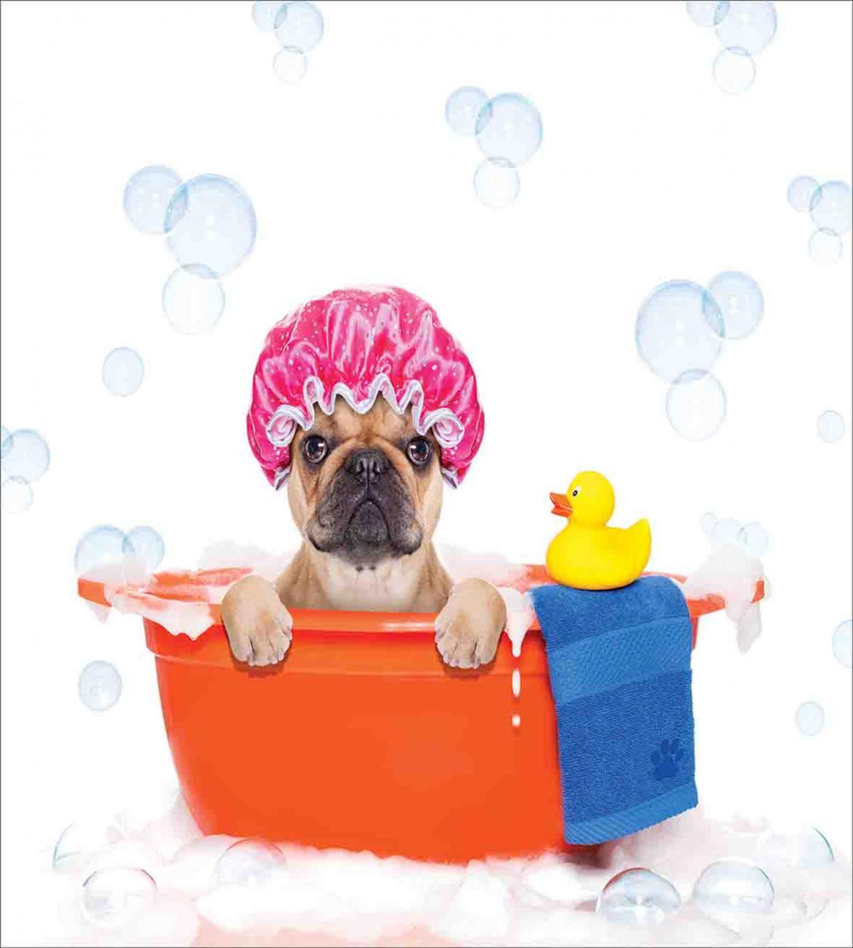 Dog Having a Bath Tub — Pattern