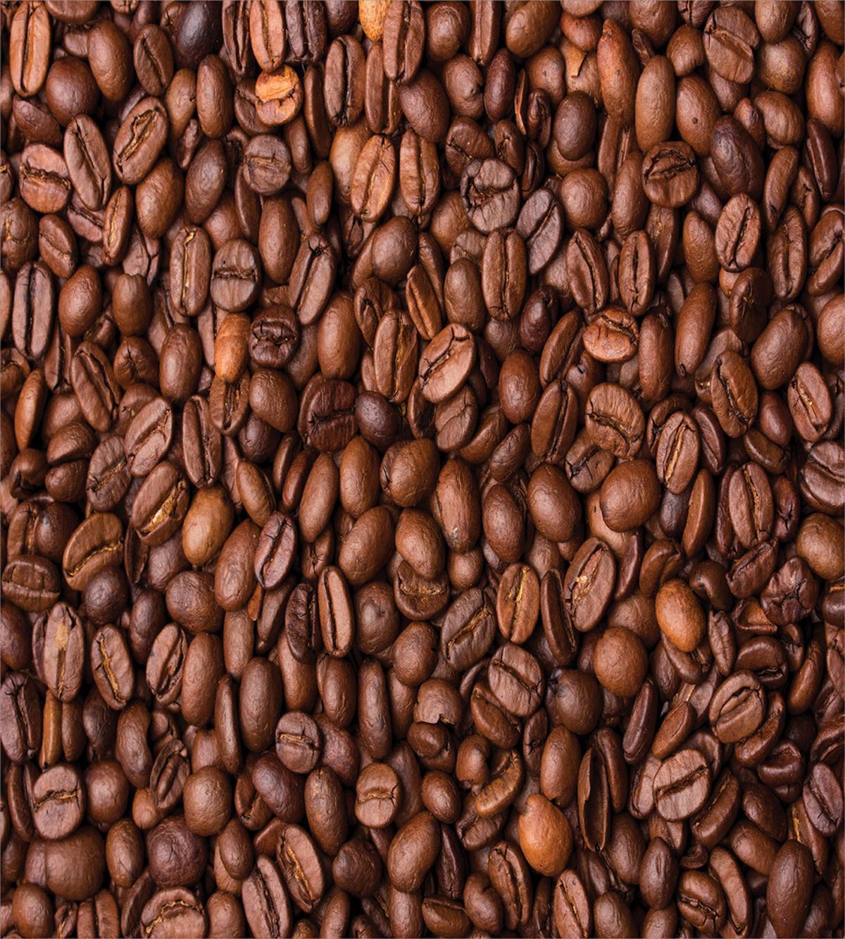 Roasted Coffee Grains — Pattern