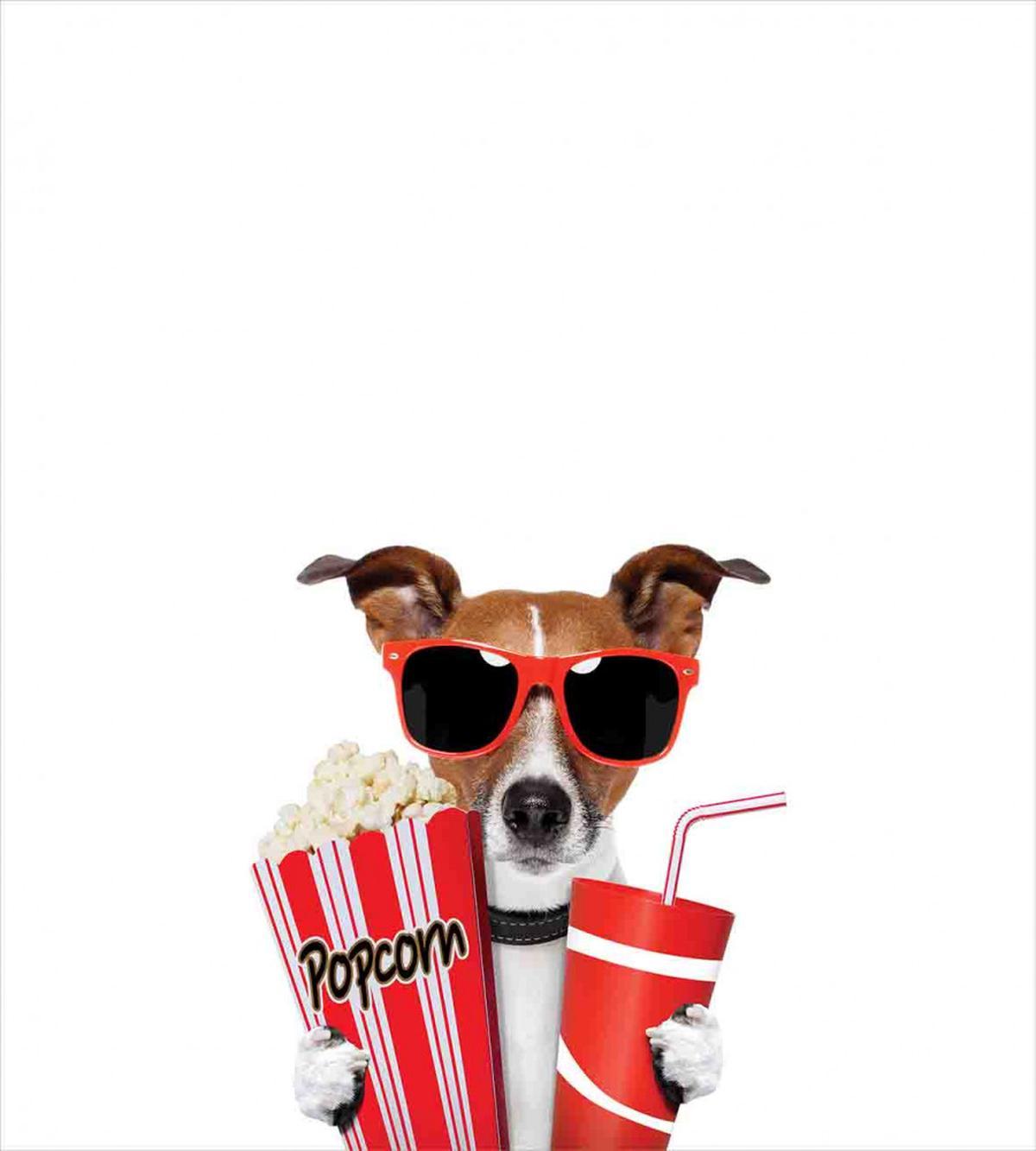 Funny Dog Snacks — Pattern