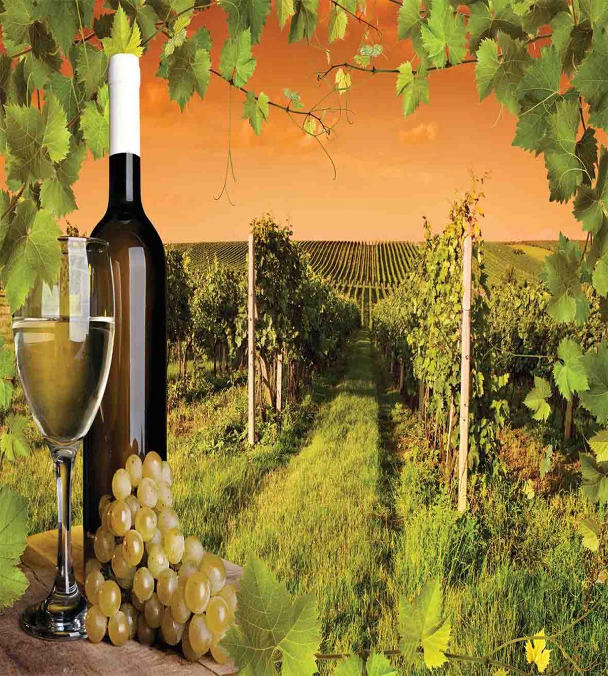 Bottle Grapes Sunset — Pattern
