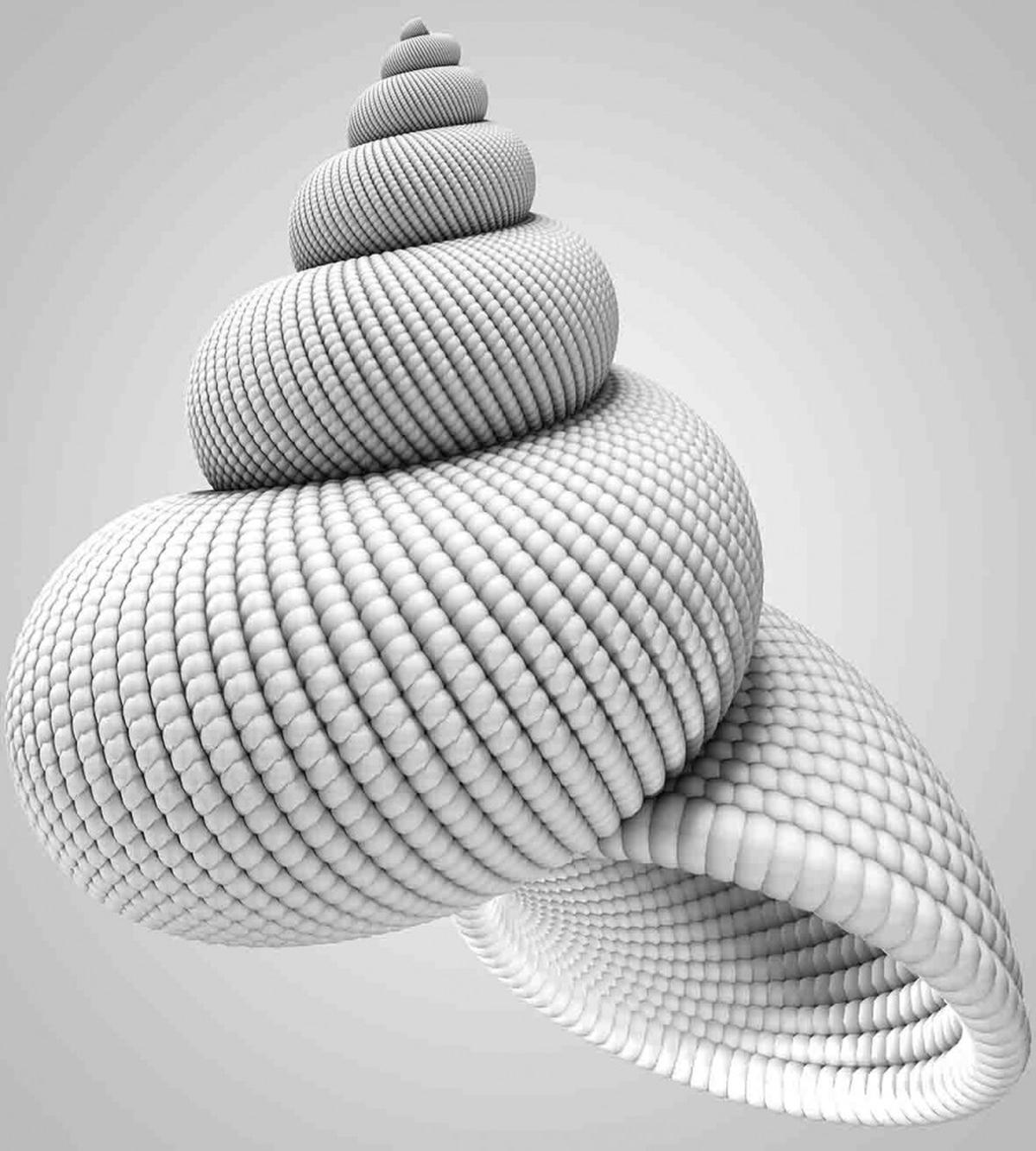 Shell Shaped — Pattern
