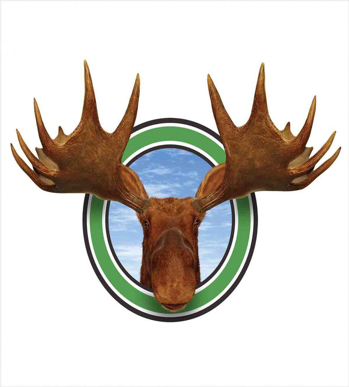 Northern Fauna Deer — Pattern