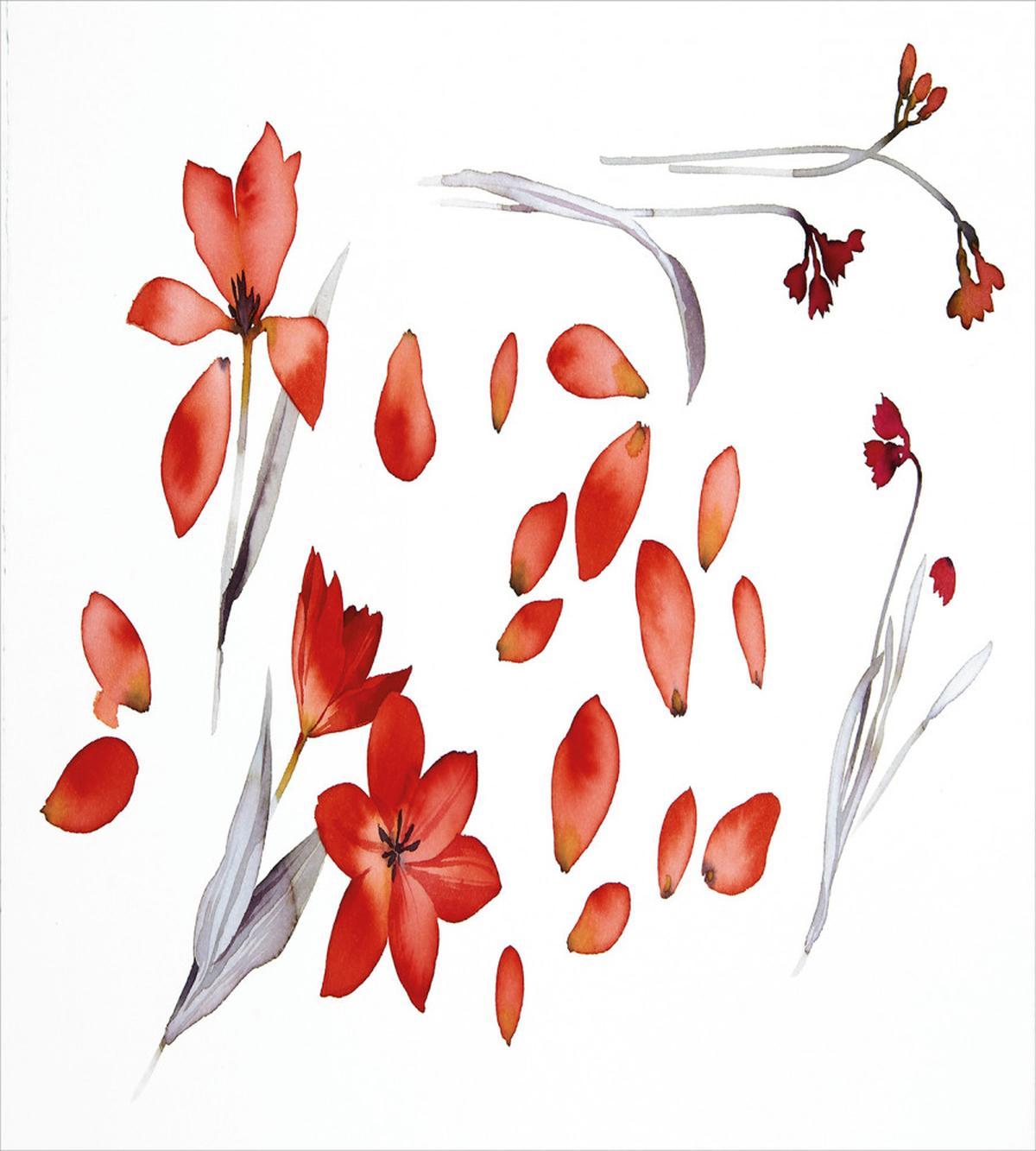 Autumn Flowers Petals — Pattern